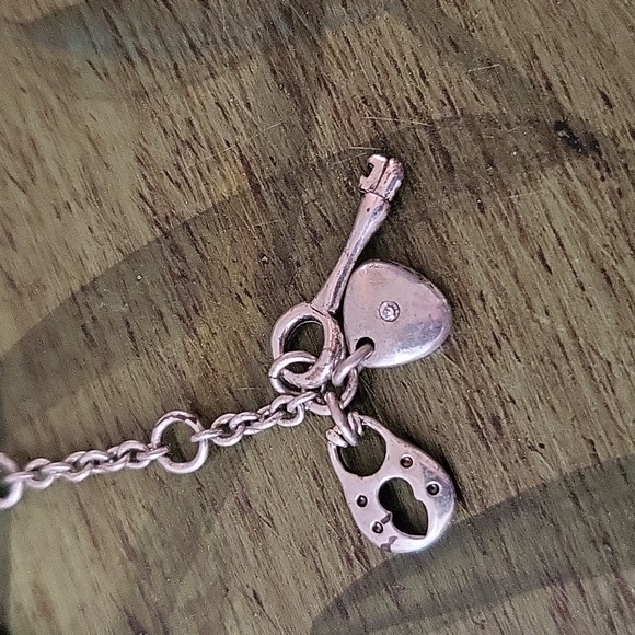 FOSSIL Set - Picture 4 of 7